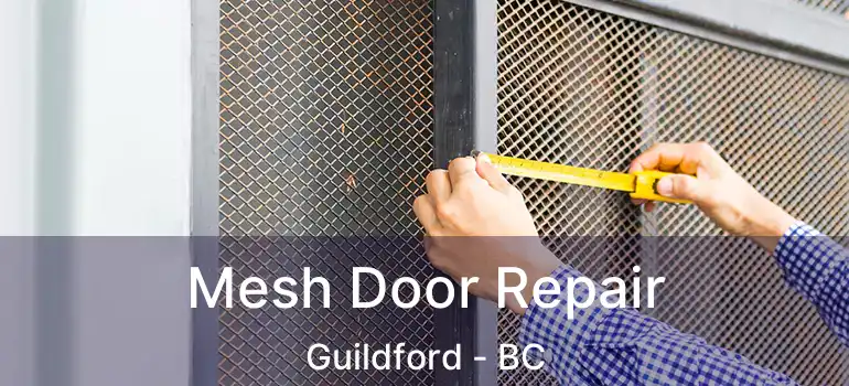 Mesh Door Repair Guildford - BC