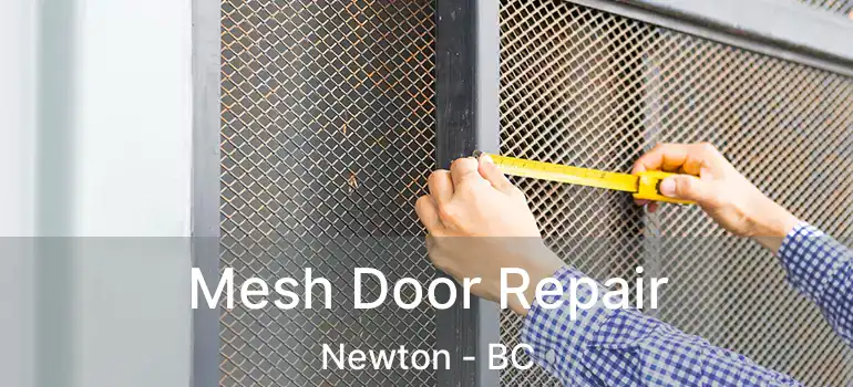  Mesh Door Repair Newton - BC