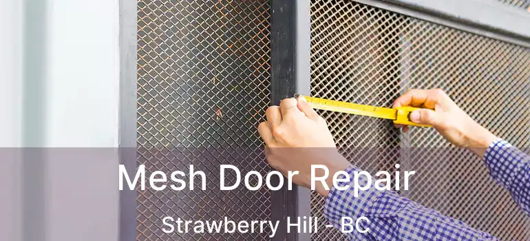  Mesh Door Repair Strawberry Hill - BC