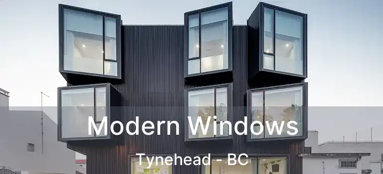  Modern Windows Tynehead - BC