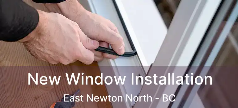  New Window Installation East Newton North - BC
