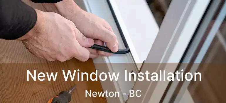  New Window Installation Newton - BC