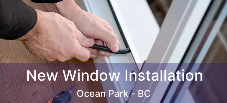  New Window Installation Ocean Park - BC