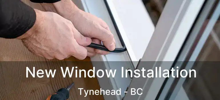  New Window Installation Tynehead - BC