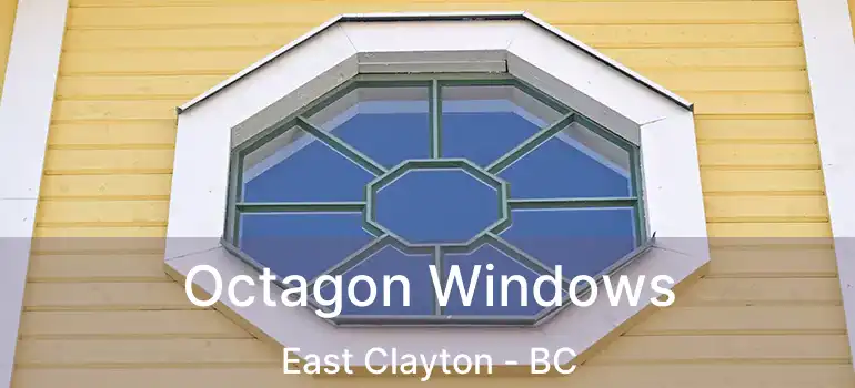  Octagon Windows East Clayton - BC