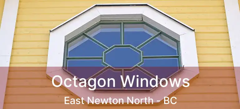  Octagon Windows East Newton North - BC