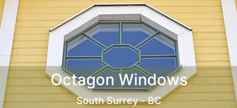  Octagon Windows South Surrey - BC