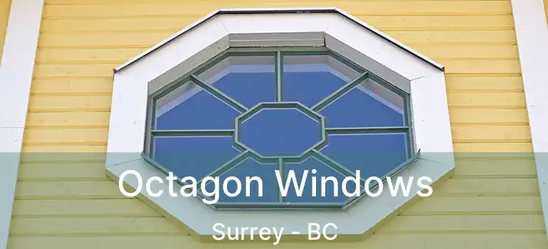  Octagon Windows Surrey - BC