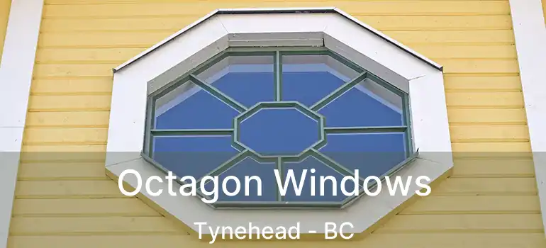  Octagon Windows Tynehead - BC