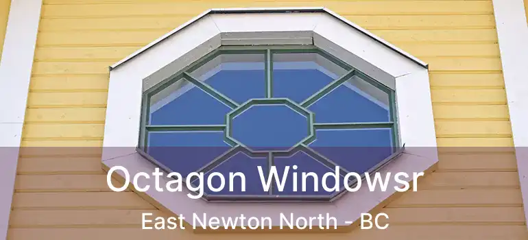  Octagon Windowsr East Newton North - BC