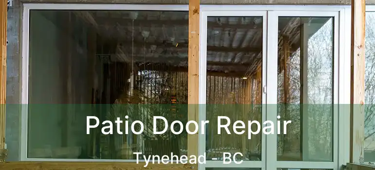  Patio Door Repair Tynehead - BC