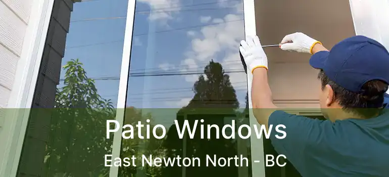  Patio Windows East Newton North - BC