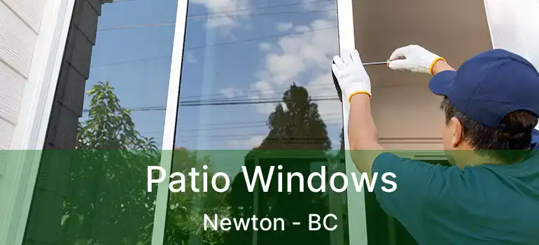  Patio Windows Newton - BC