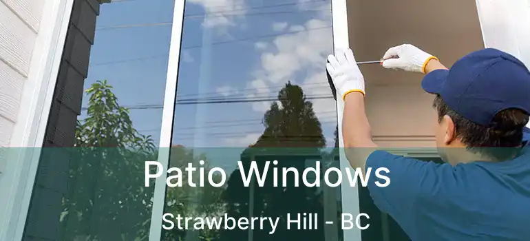  Patio Windows Strawberry Hill - BC