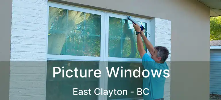  Picture Windows East Clayton - BC