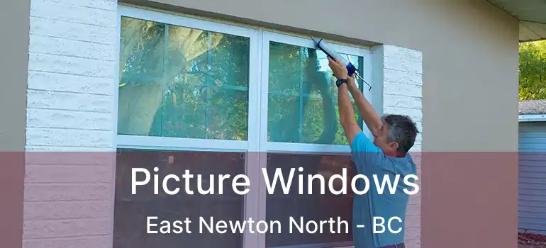  Picture Windows East Newton North - BC