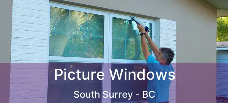  Picture Windows South Surrey - BC