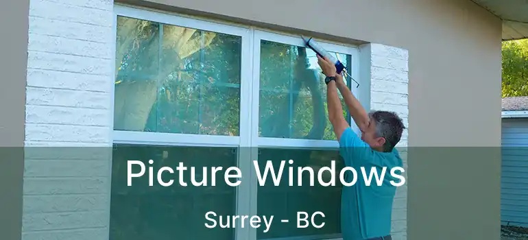  Picture Windows Surrey - BC