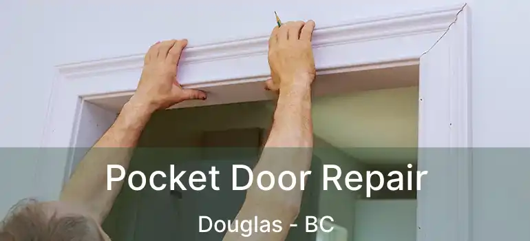  Pocket Door Repair Douglas - BC