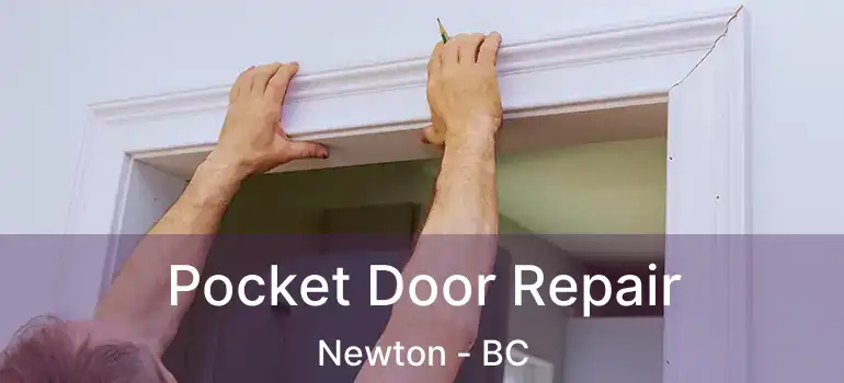  Pocket Door Repair Newton - BC