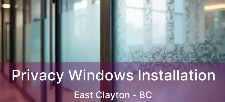  Privacy Windows Installation East Clayton - BC
