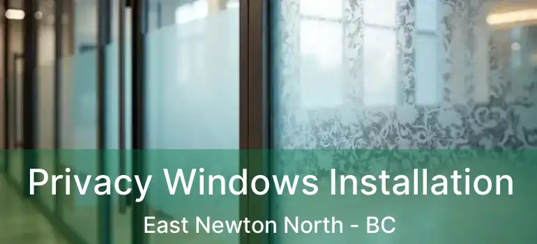  Privacy Windows Installation East Newton North - BC