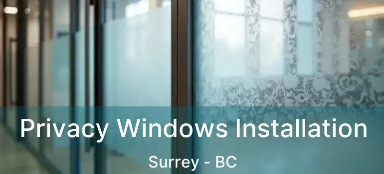  Privacy Windows Installation Surrey - BC