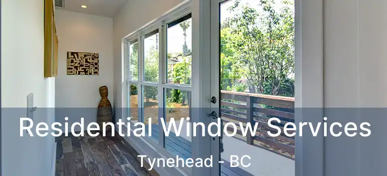  Residential Window Services Tynehead - BC