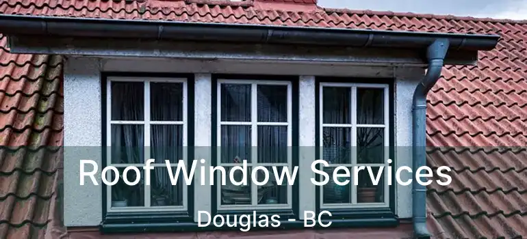  Roof Window Services Douglas - BC