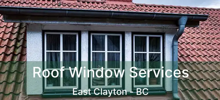  Roof Window Services East Clayton - BC