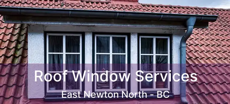  Roof Window Services East Newton North - BC