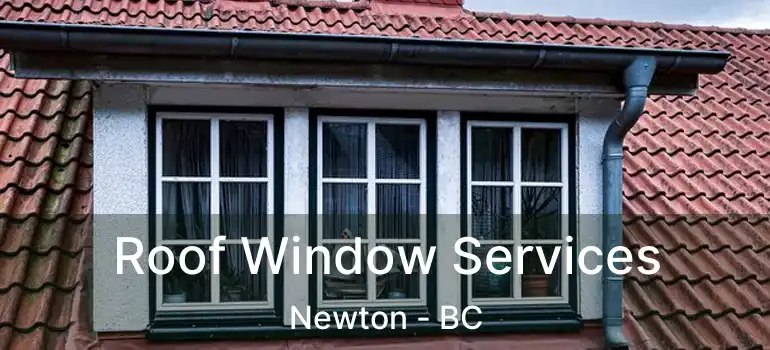  Roof Window Services Newton - BC
