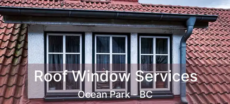  Roof Window Services Ocean Park - BC