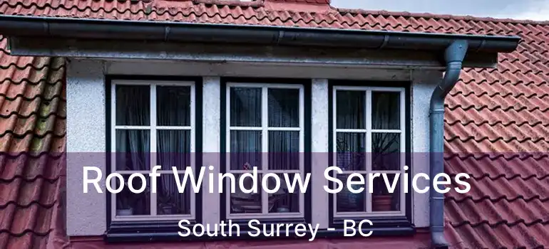  Roof Window Services South Surrey - BC