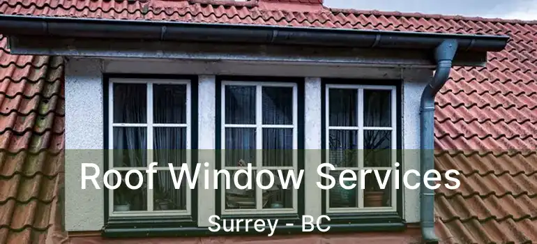  Roof Window Services Surrey - BC