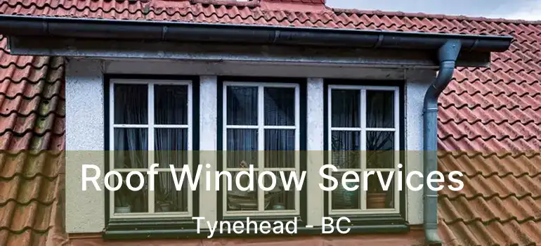  Roof Window Services Tynehead - BC