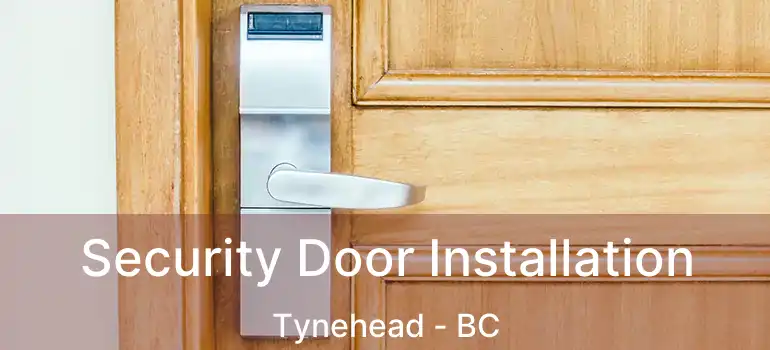  Security Door Installation Tynehead - BC