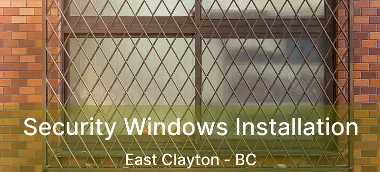  Security Windows Installation East Clayton - BC