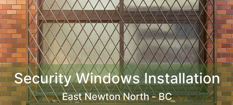  Security Windows Installation East Newton North - BC