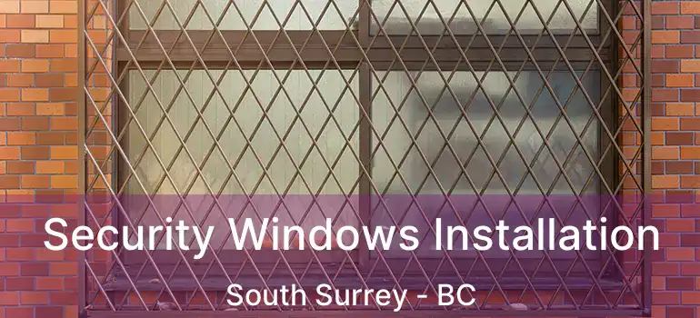  Security Windows Installation South Surrey - BC
