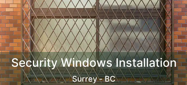  Security Windows Installation Surrey - BC