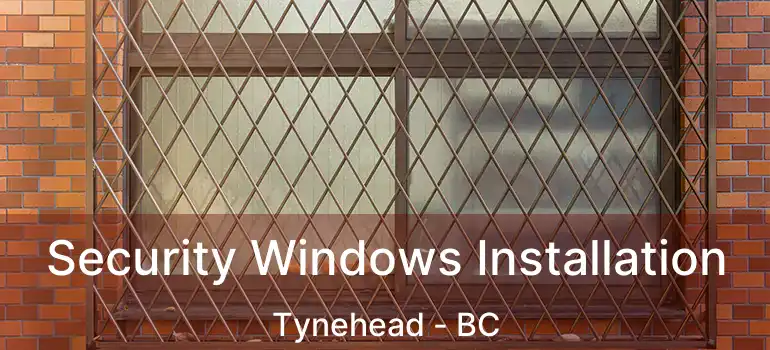  Security Windows Installation Tynehead - BC
