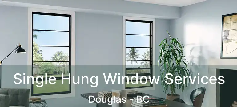  Single Hung Window Services Douglas - BC