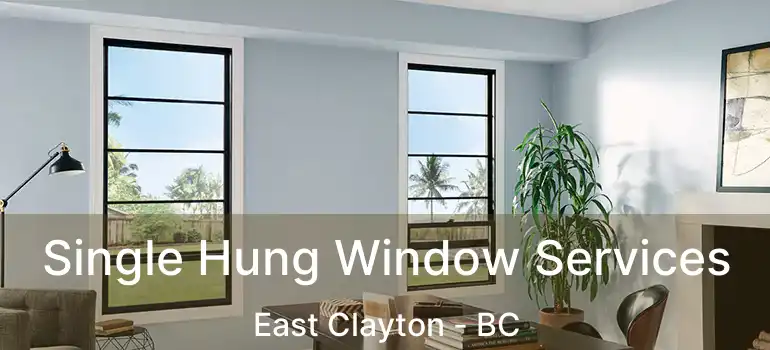  Single Hung Window Services East Clayton - BC