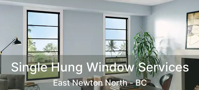  Single Hung Window Services East Newton North - BC