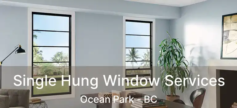  Single Hung Window Services Ocean Park - BC