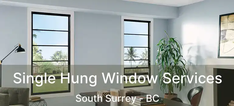  Single Hung Window Services South Surrey - BC