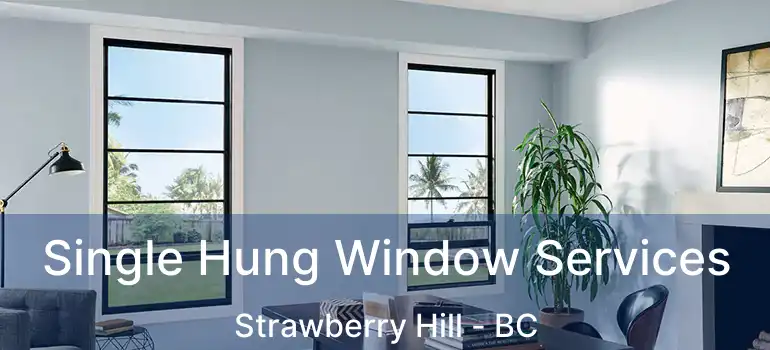  Single Hung Window Services Strawberry Hill - BC