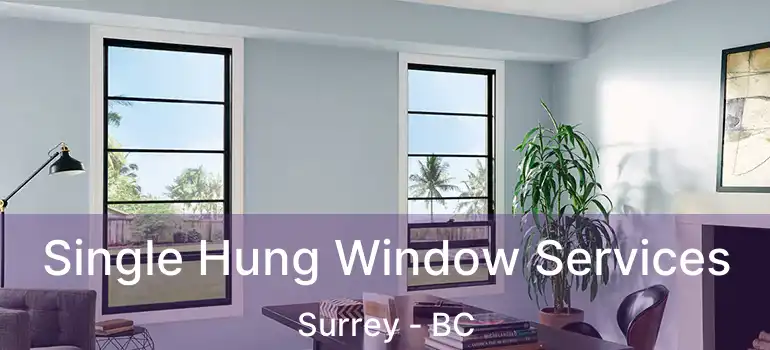  Single Hung Window Services Surrey - BC