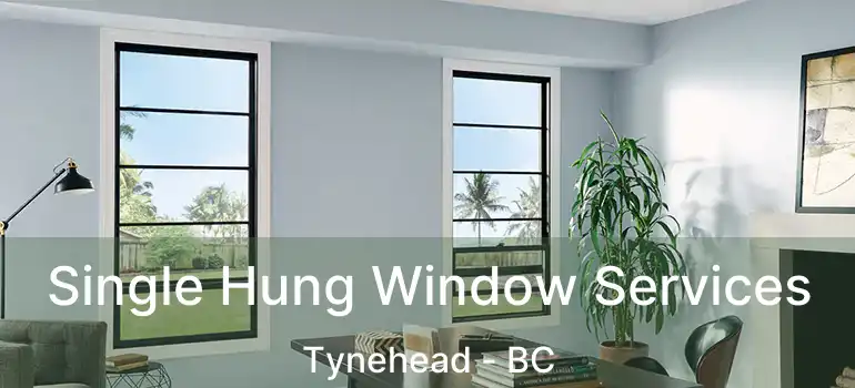  Single Hung Window Services Tynehead - BC